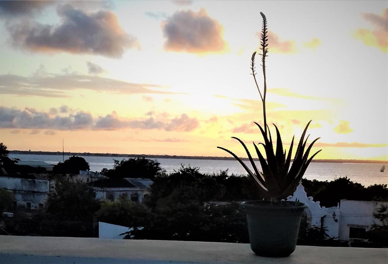 Jardim Dos Aloes, Unique B&B - Casa De Charme Ilha de Mocambique Exterior foto