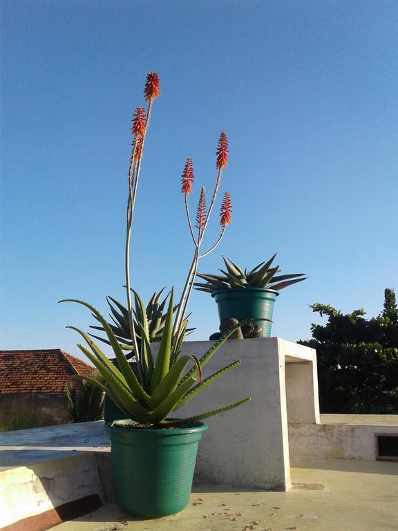 Jardim Dos Aloes, Unique B&B - Casa De Charme Ilha de Mocambique Exterior foto